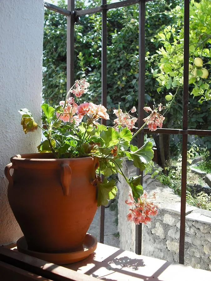 Сasa de vacaciones El mirador de la Habana Villa Albuñuelas España